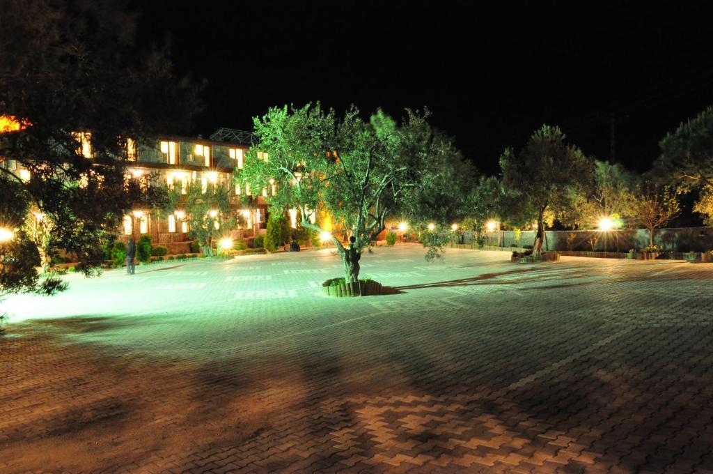 Assos Park Hotel ภายนอก รูปภาพ